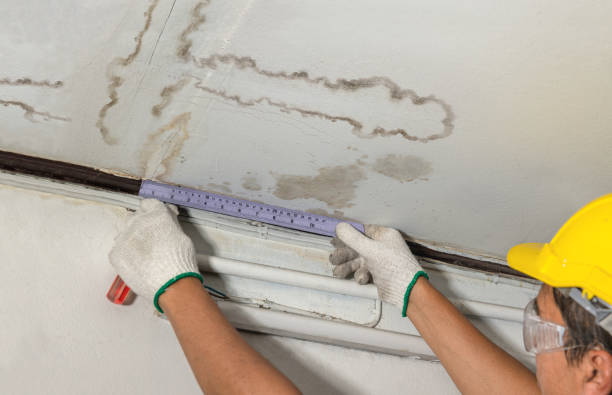 Reliable Mold Remediation contractor in Edgefield, SC by Water Damage Irwin